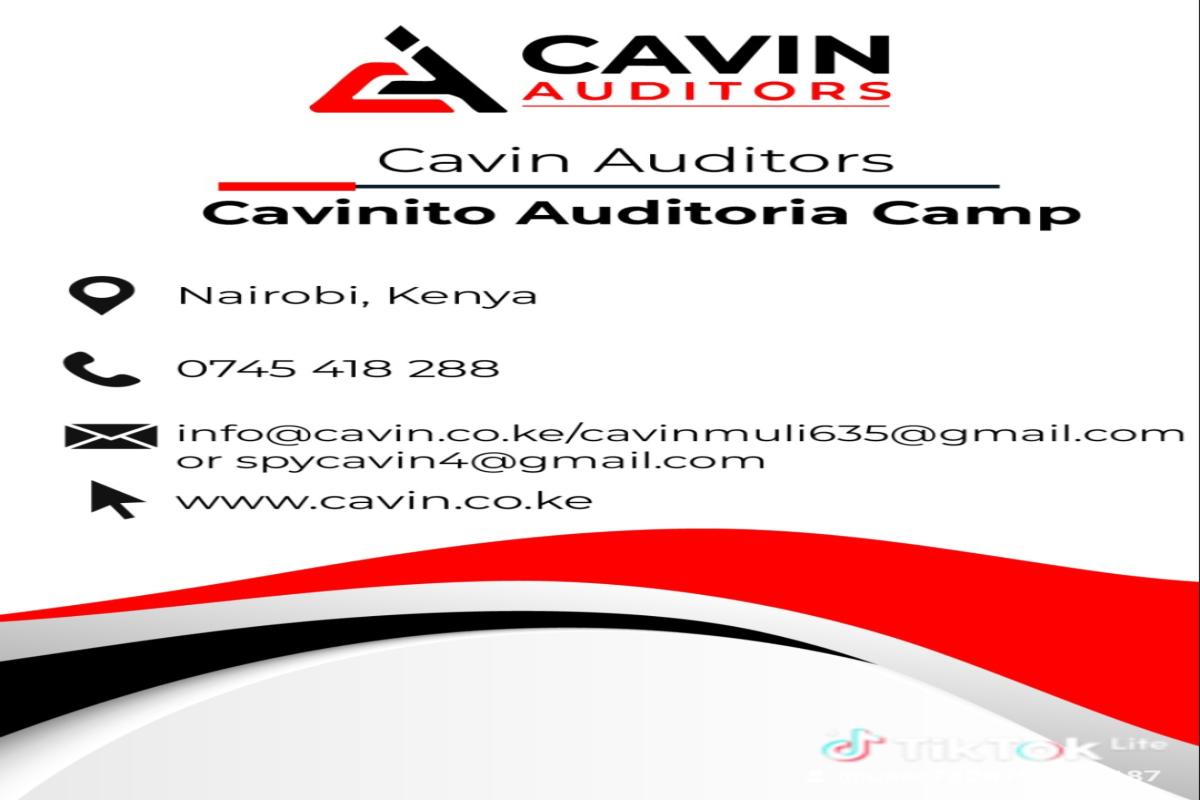 Cavin auditors