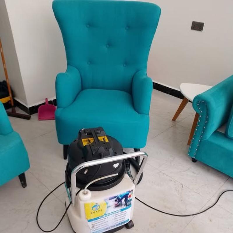Professional sofa cleaning profile image