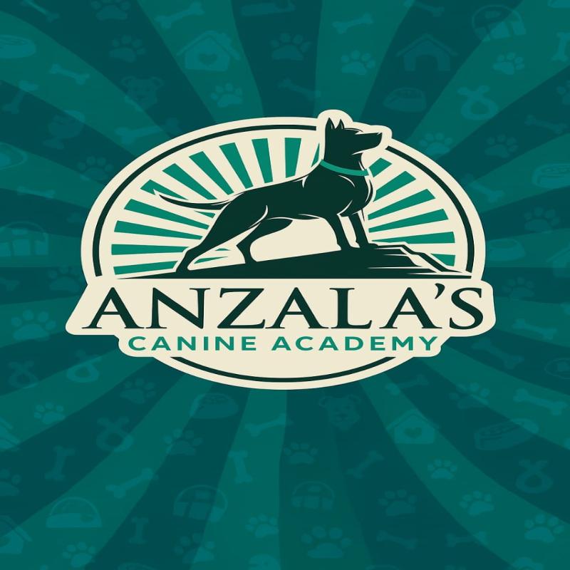 Professional Dog Training service image