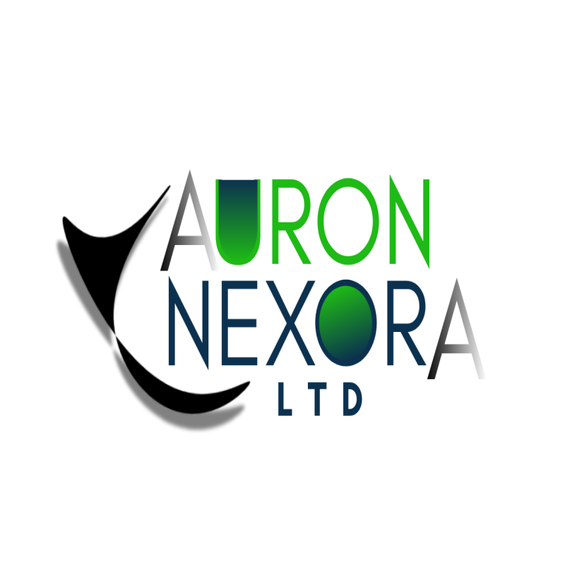 Auron Nexora: Interpretation & Translation Services in Kenya service image